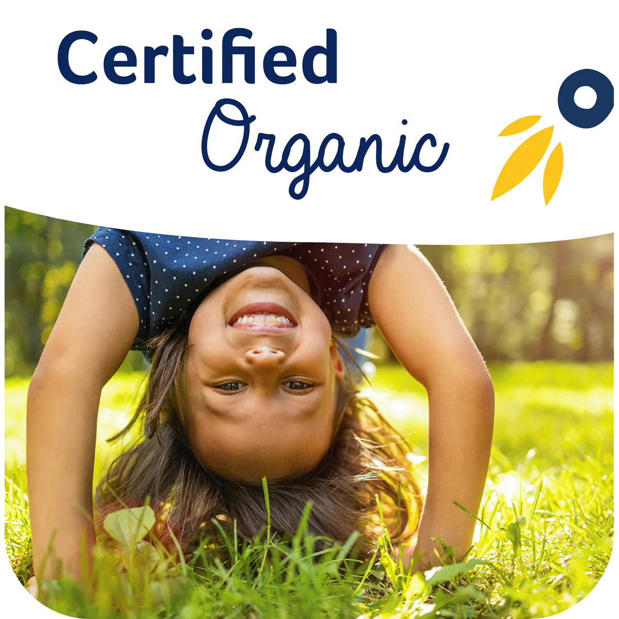 Jovie Organic Goat Toddler Milk 800g - Stage 3 -  12 Months + - Emmbaby Canada